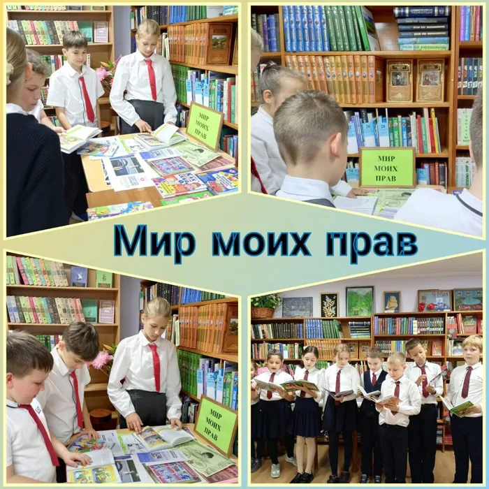 Биб.муз. Мир моих прав