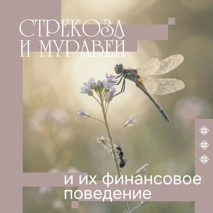 уфг